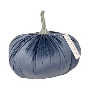 Cupcakes 🧁 and Cashmere Smoke Blue Velvet Pumpkin